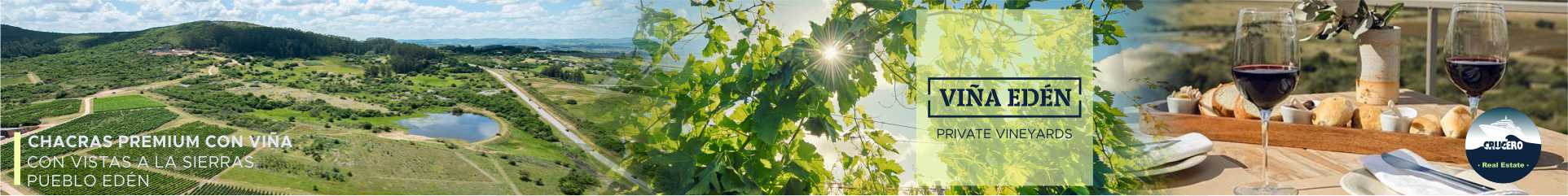 Banner Destacado Viña Edén - Private Vineyards